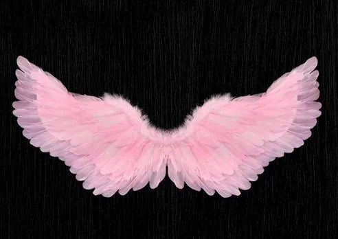 Angel Feather Wings – Cosplay Party Costume Accessory